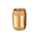 [160625] VALVULA RETEN VERT 1 1/4" ASTO LATON CON FILTRO INOX - EDR PROCESO